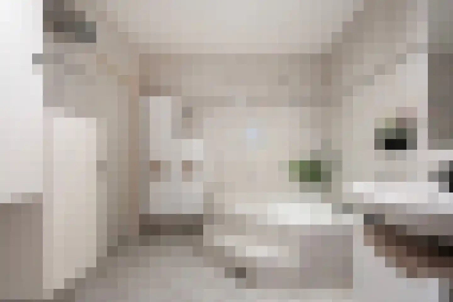 Stegemanserf 8 Dalfsen thumbnail 31