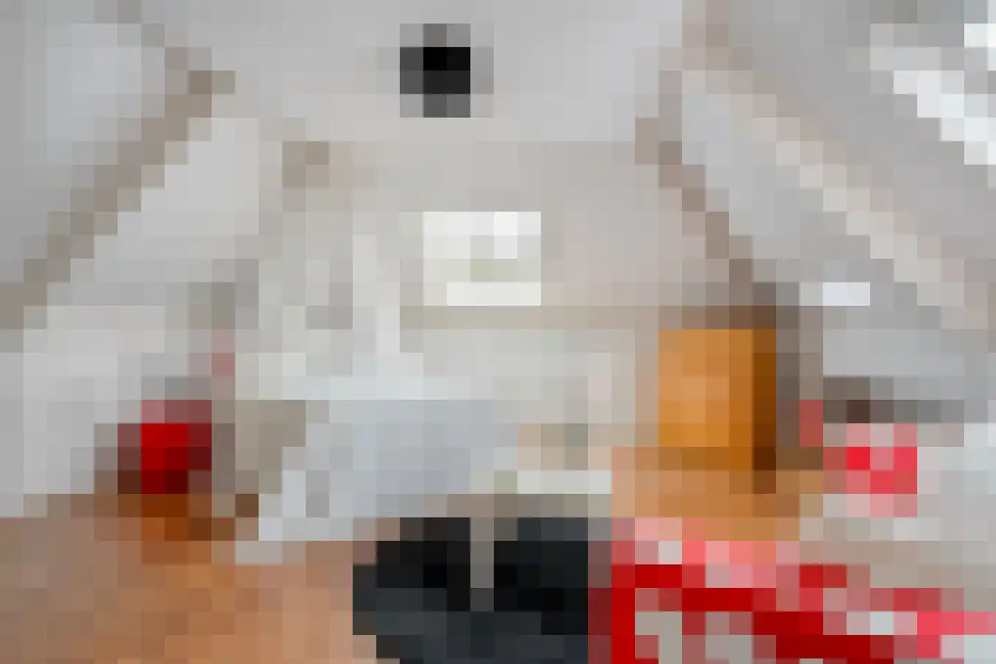 Stegemanserf 8 Dalfsen thumbnail 35