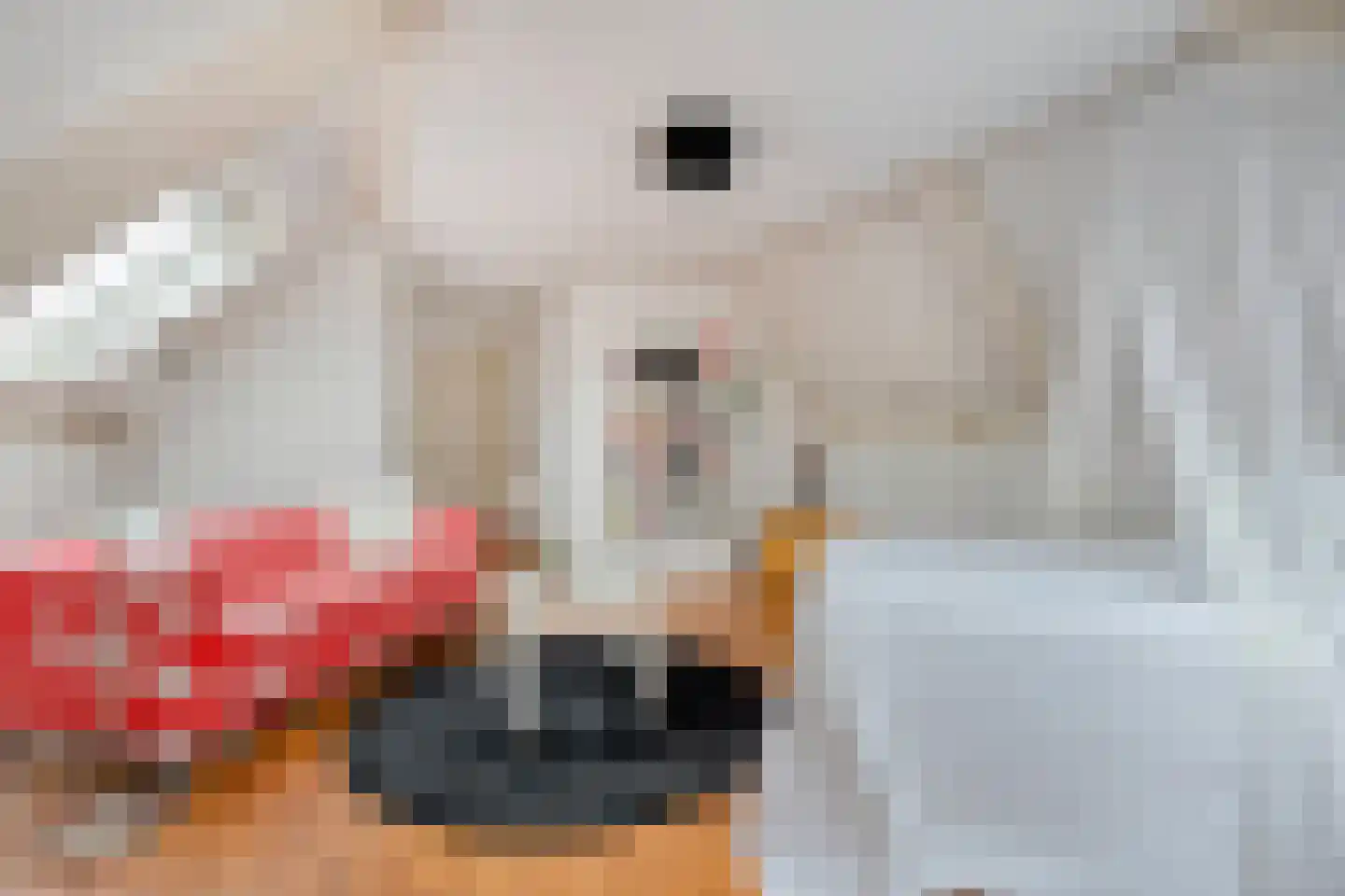 Stegemanserf 8 Dalfsen thumbnail 36