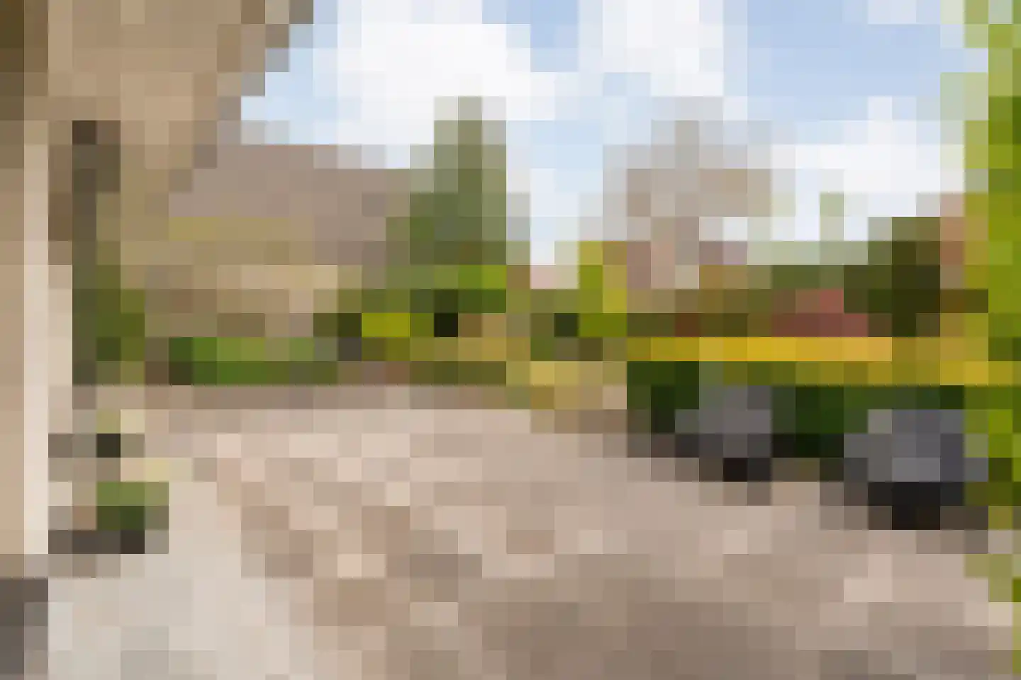 Stegemanserf 8 Dalfsen thumbnail 4