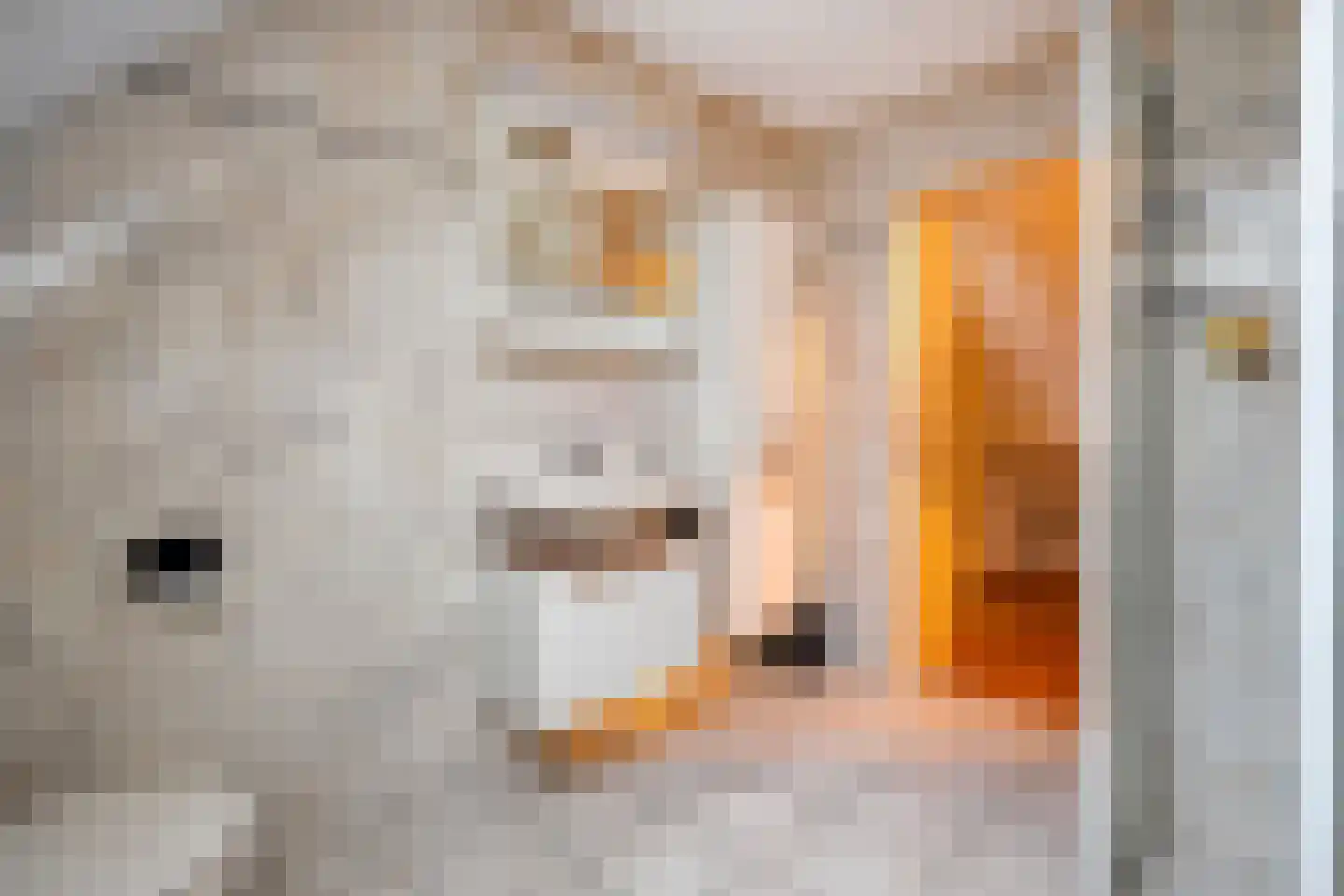 Stegemanserf 8 Dalfsen thumbnail 43