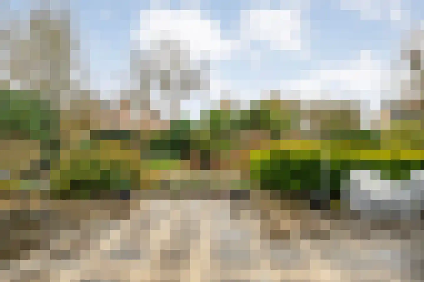 Stegemanserf 8 Dalfsen thumbnail 45