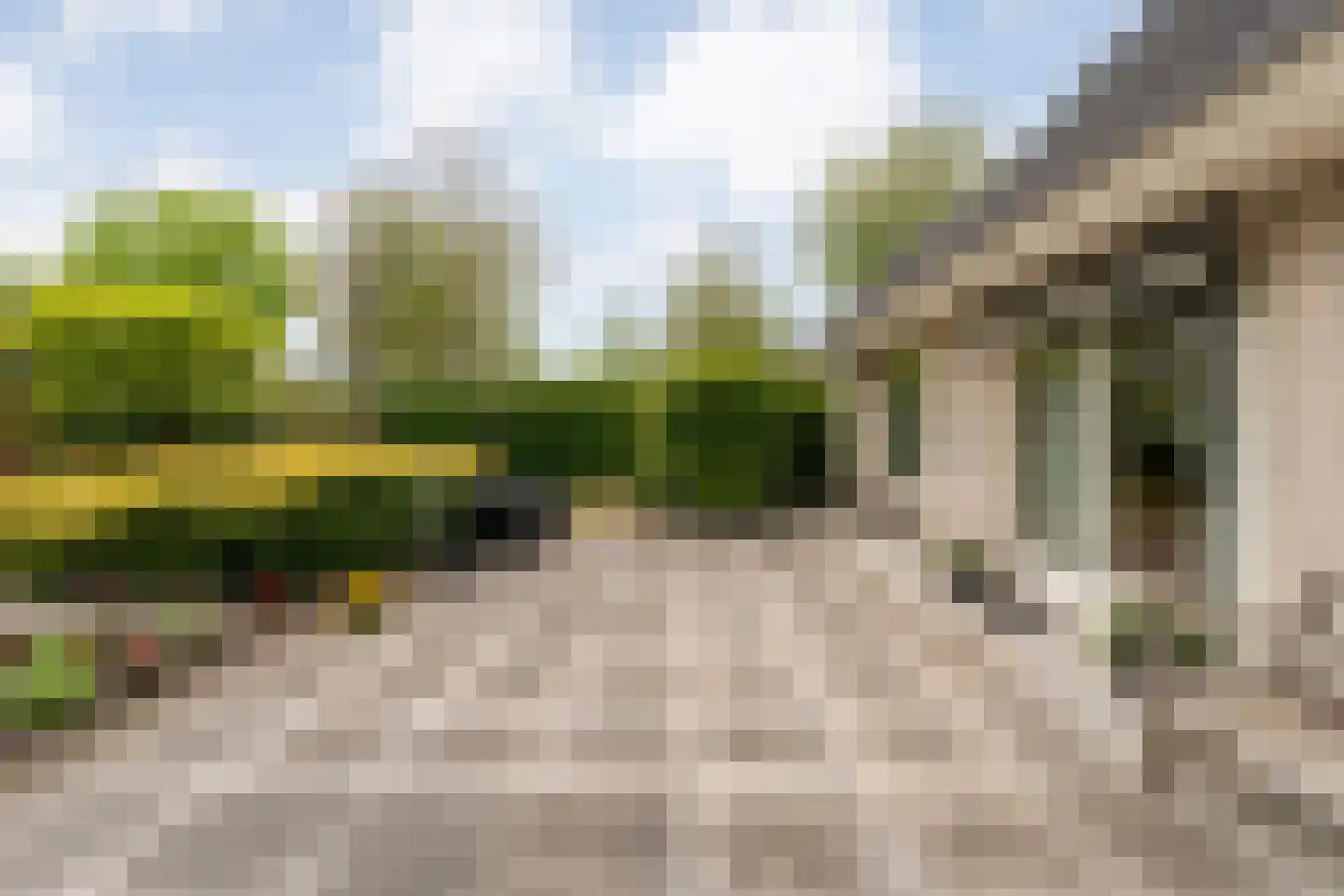 Stegemanserf 8 Dalfsen thumbnail 47
