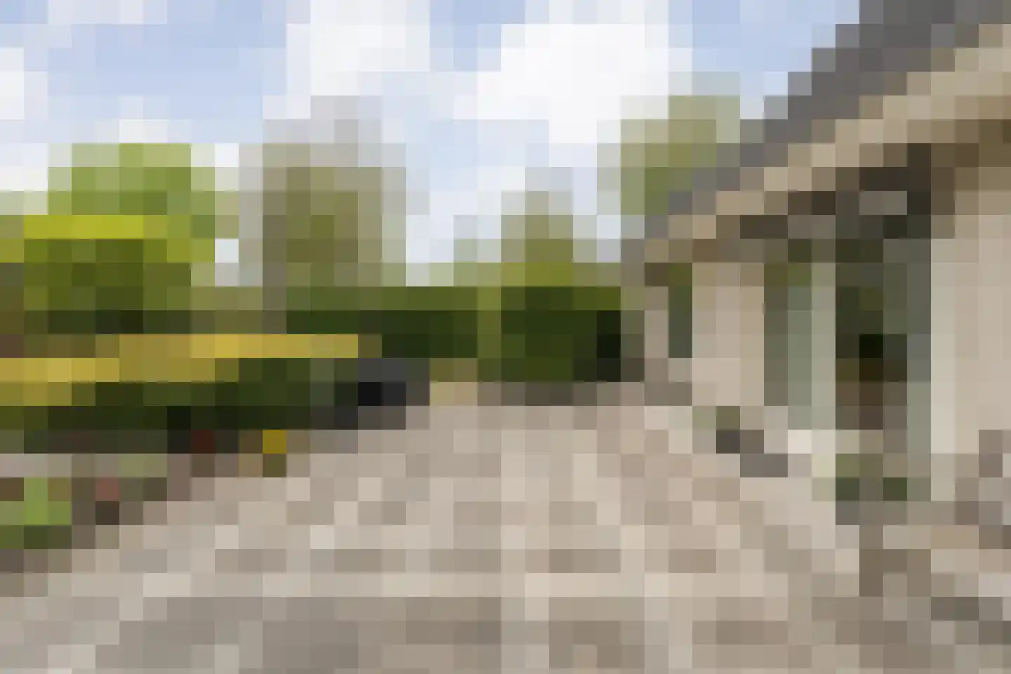 Stegemanserf 8 Dalfsen thumbnail 47