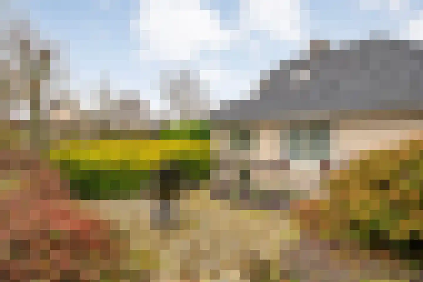 Stegemanserf 8 Dalfsen thumbnail 49