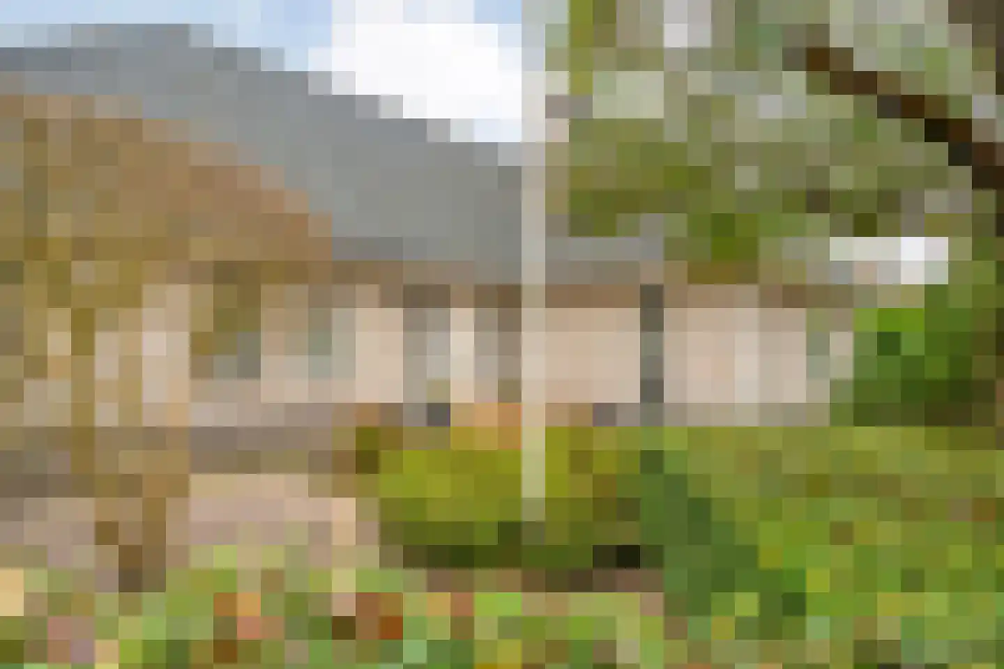 Stegemanserf 8 Dalfsen thumbnail 5