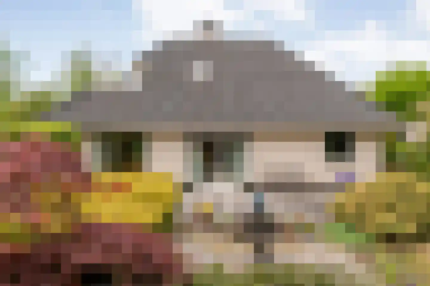 Stegemanserf 8 Dalfsen thumbnail 50