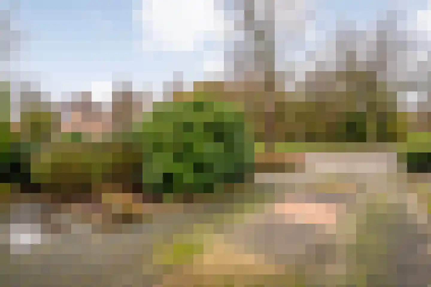 Stegemanserf 8 Dalfsen thumbnail 52