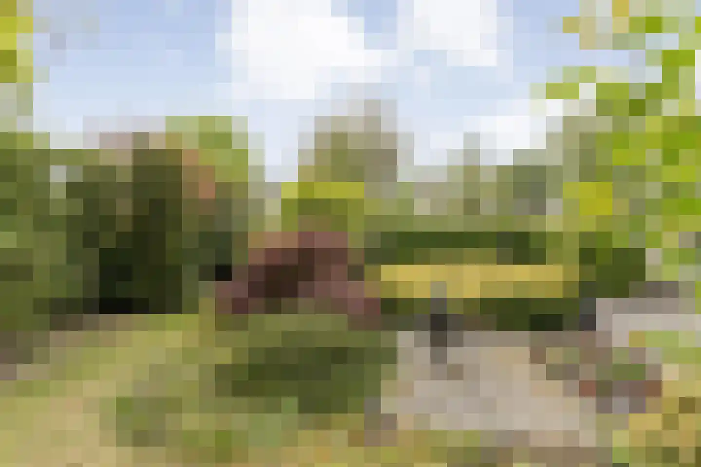 Stegemanserf 8 Dalfsen thumbnail 52