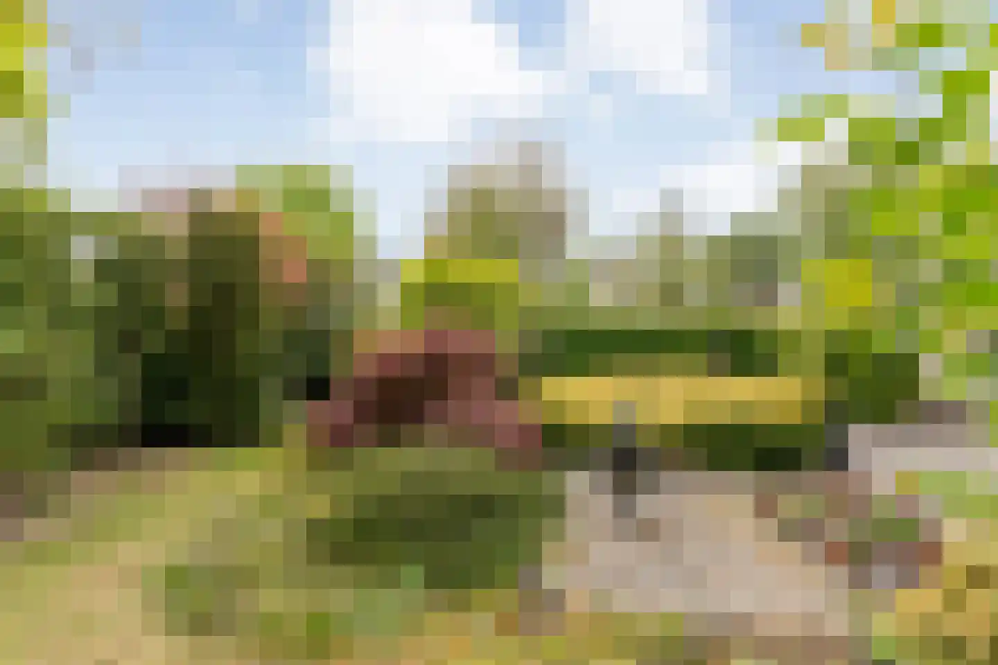 Stegemanserf 8 Dalfsen thumbnail 52