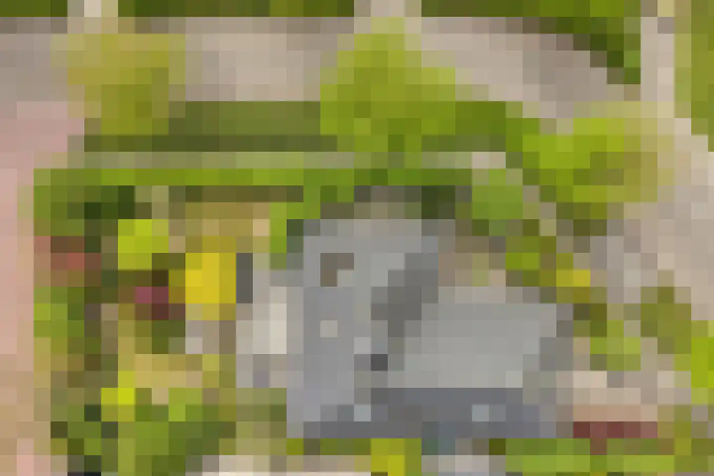 Stegemanserf 8 Dalfsen thumbnail 54
