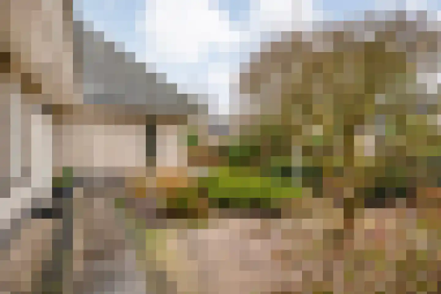 Stegemanserf 8 Dalfsen thumbnail 55