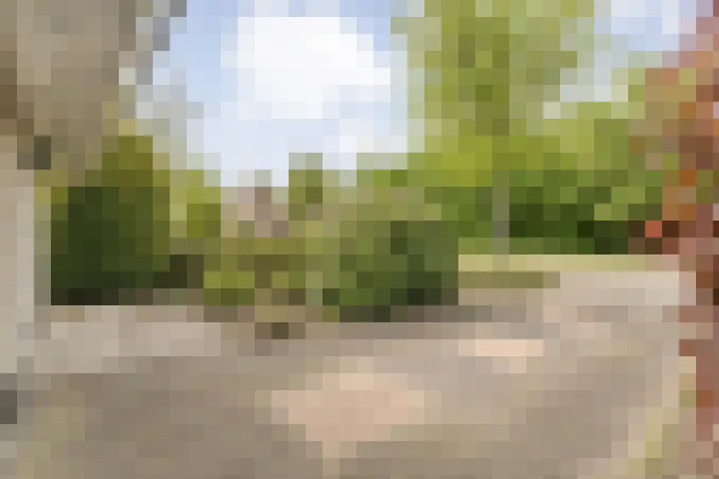 Stegemanserf 8 Dalfsen thumbnail 59