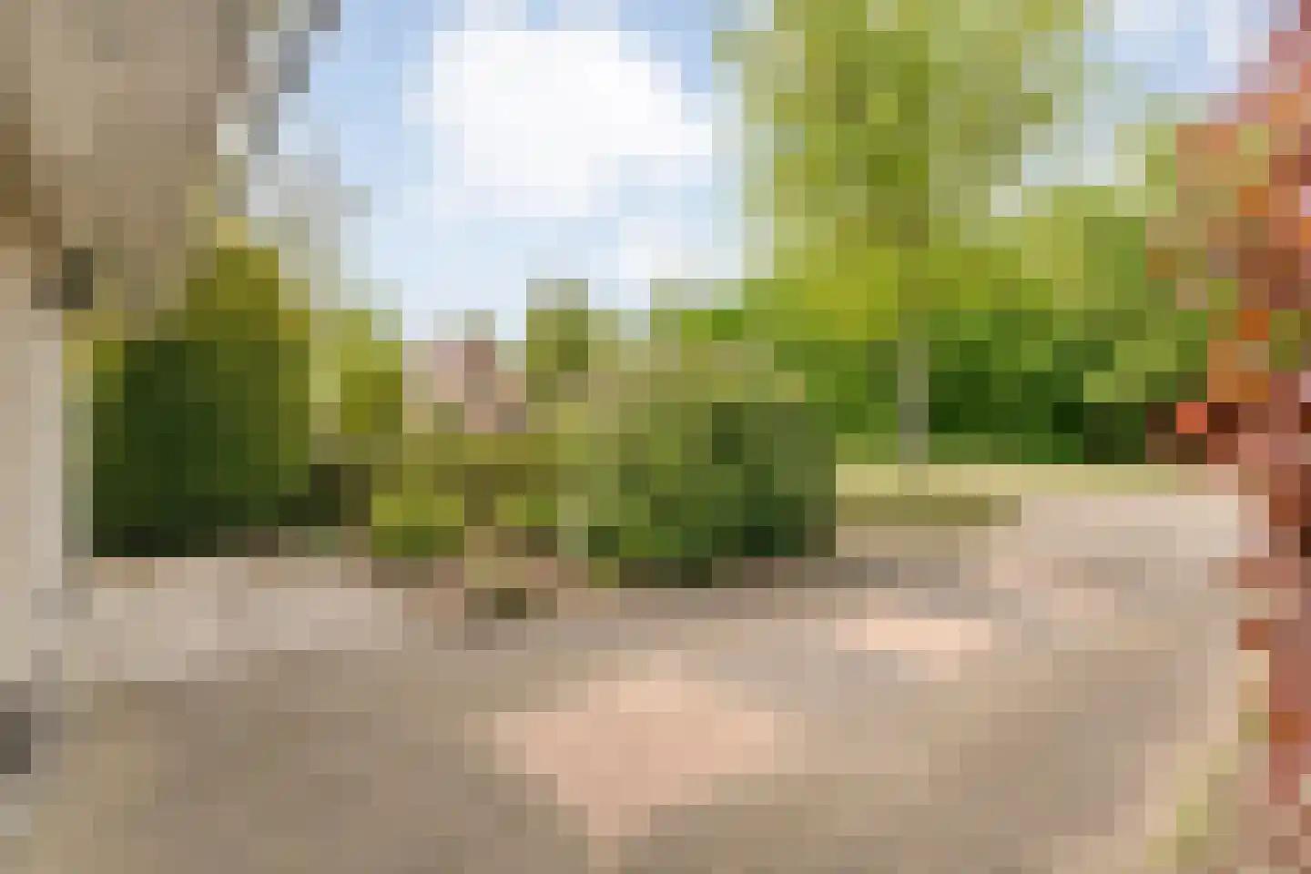 Stegemanserf 8 Dalfsen thumbnail 59