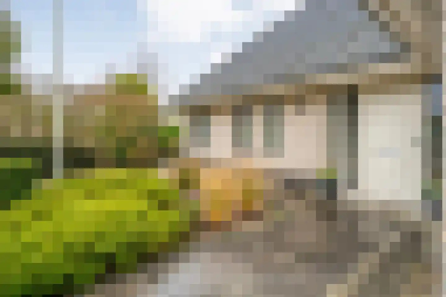 Stegemanserf 8 Dalfsen thumbnail 6