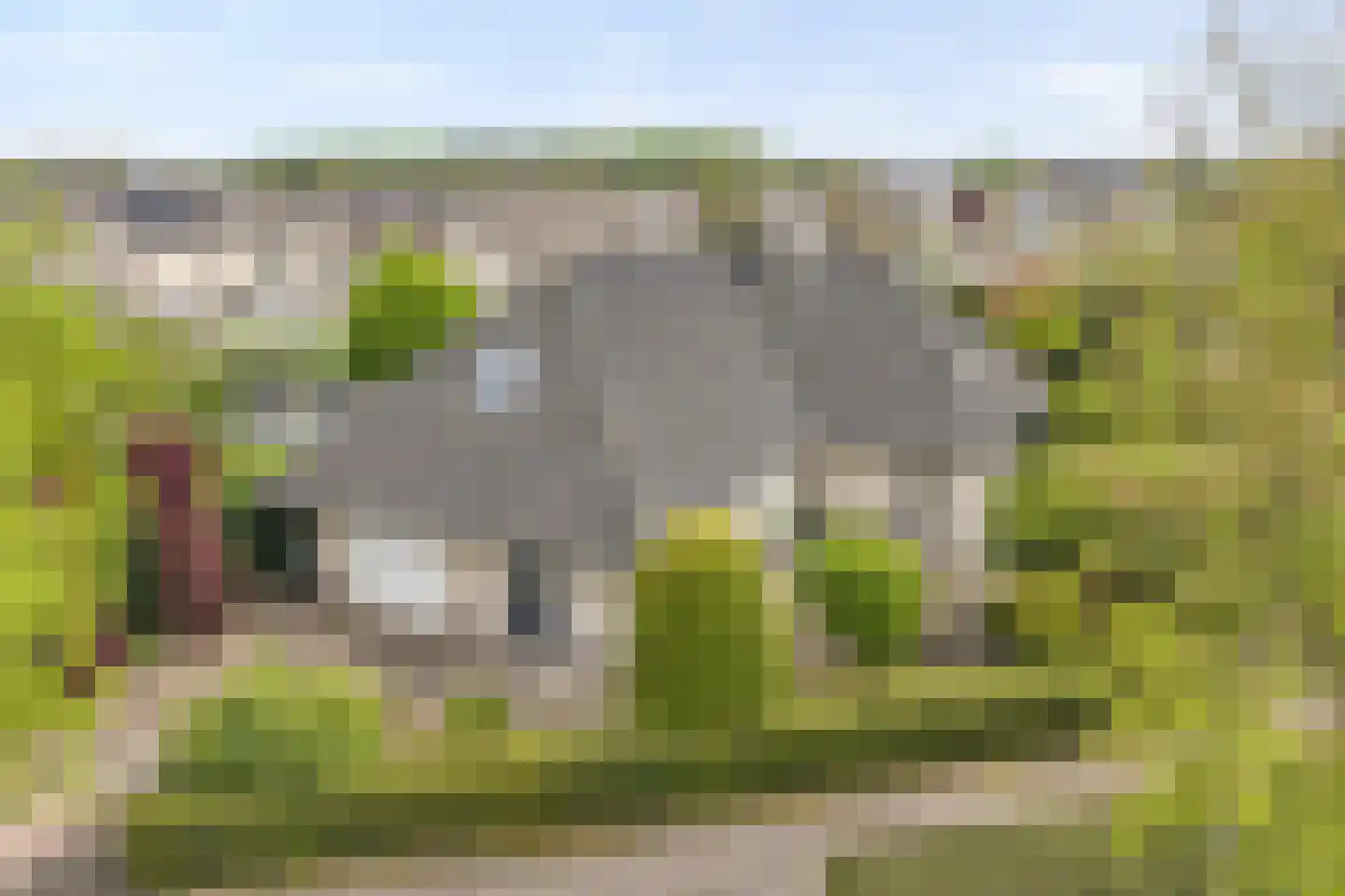 Stegemanserf 8 Dalfsen thumbnail 61