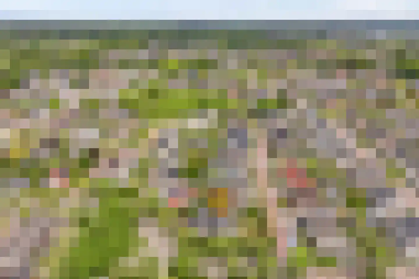 Stegemanserf 8 Dalfsen thumbnail 63