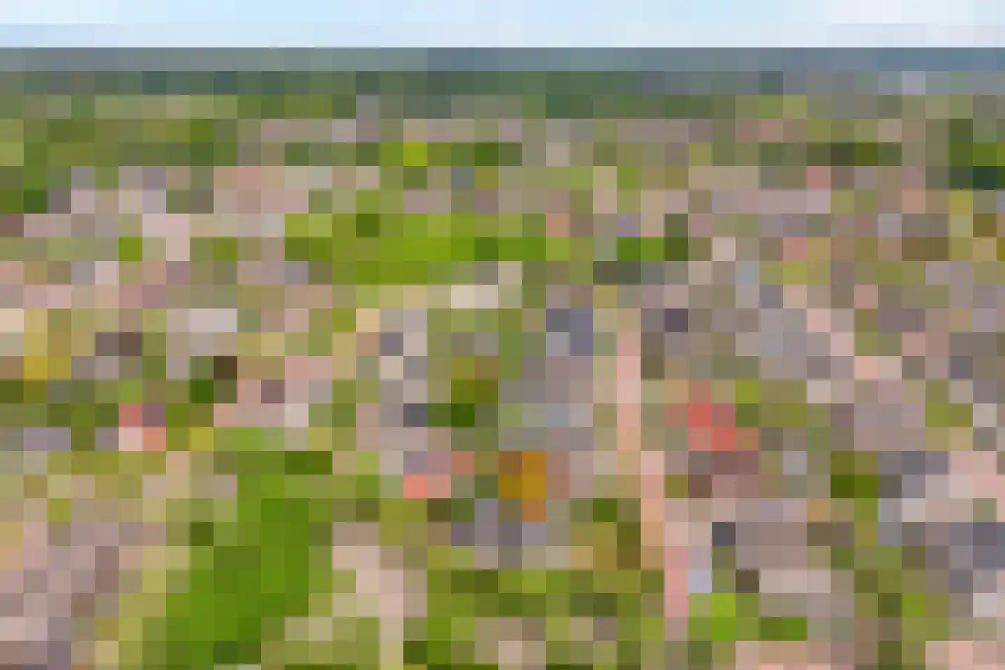 Stegemanserf 8 Dalfsen thumbnail 63