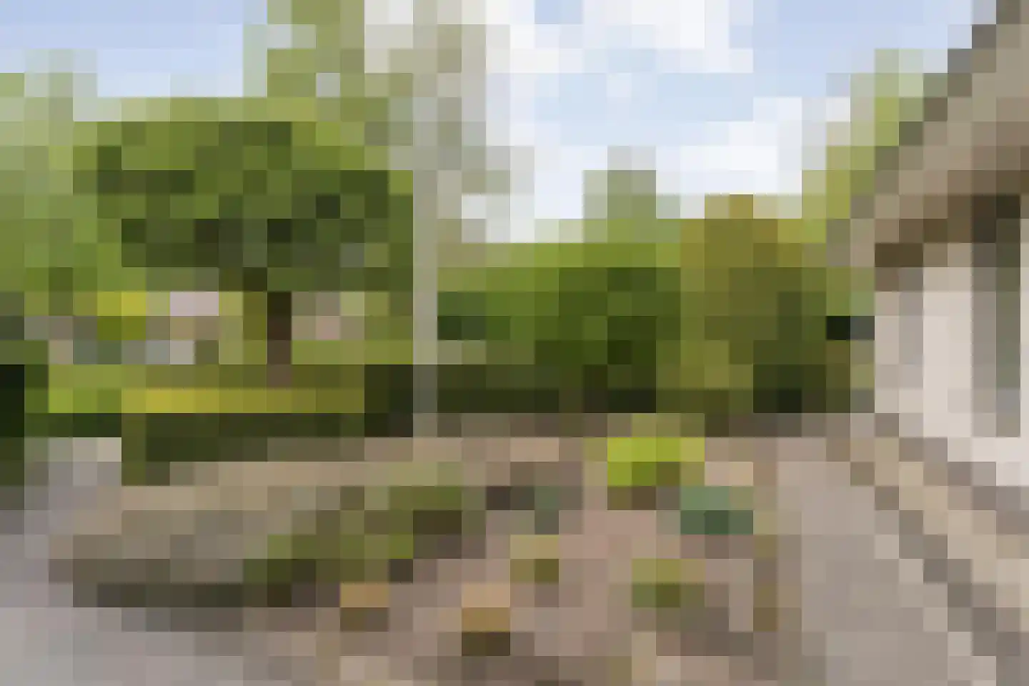Stegemanserf 8 Dalfsen thumbnail 7