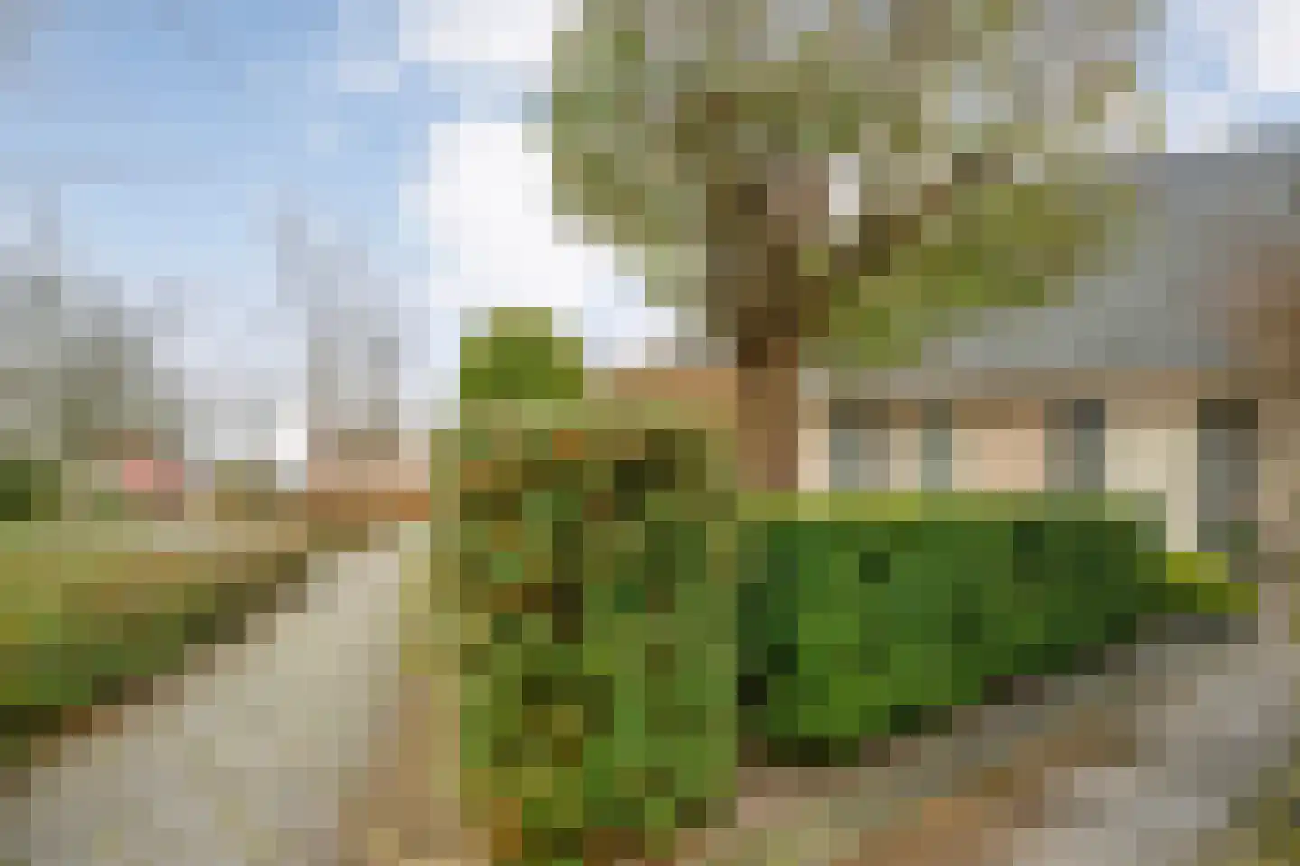 Stegemanserf 8 Dalfsen thumbnail 7