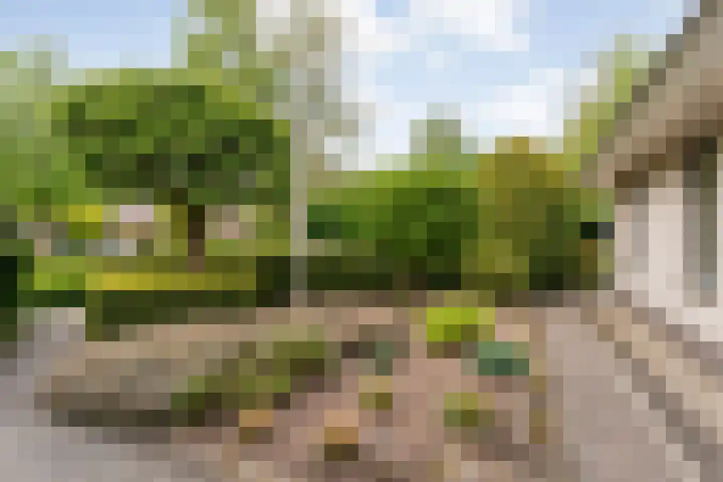 Stegemanserf 8 Dalfsen thumbnail 7
