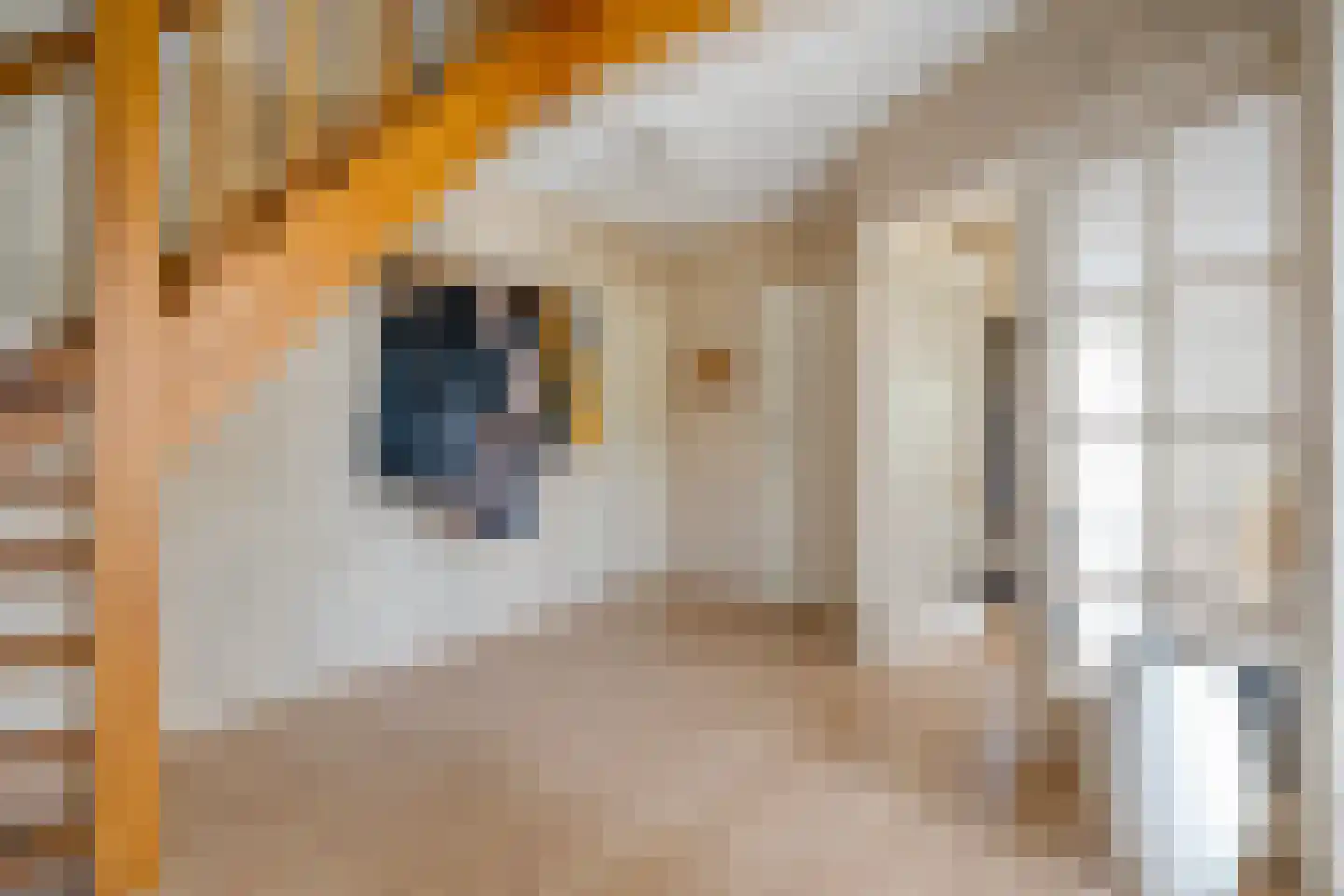 Stegemanserf 8 Dalfsen thumbnail 8