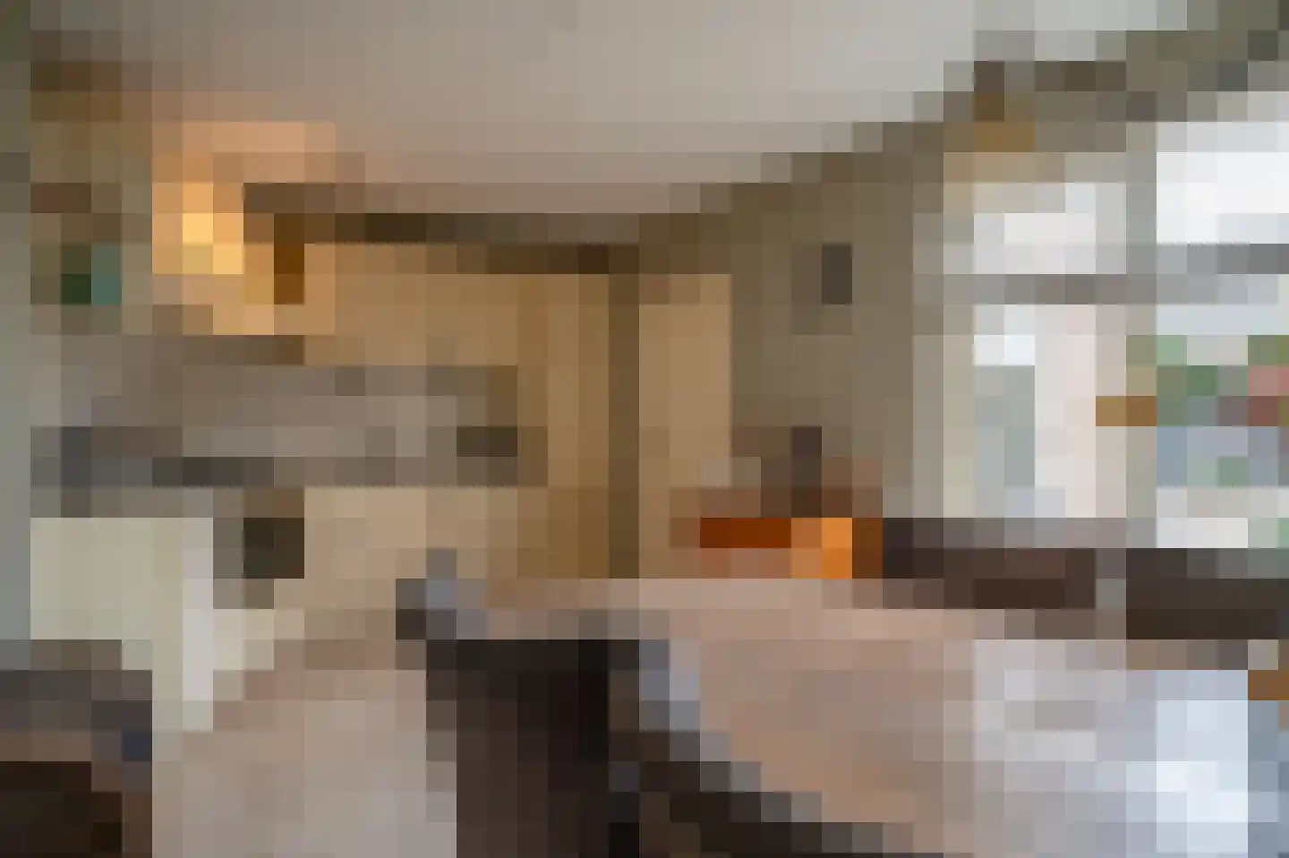 Stegemanserf 8 Staphorst thumbnail 11