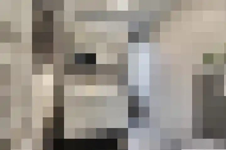 Stegemanshof 10 Baarlo thumbnail 22