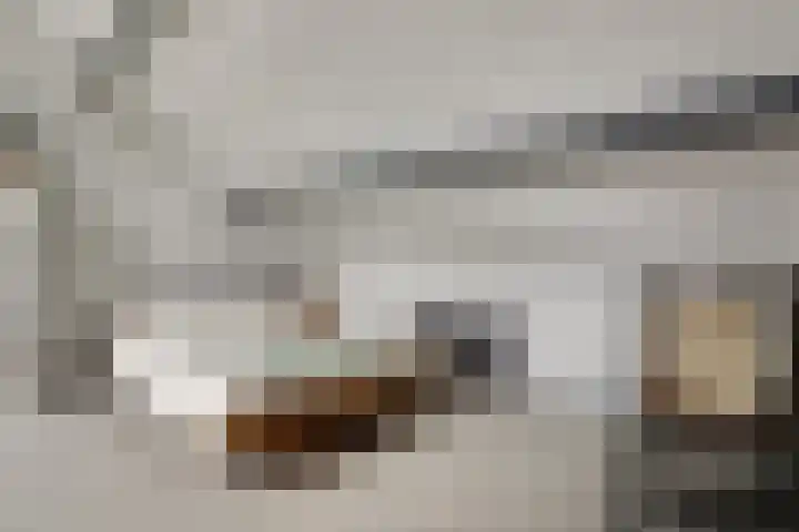 Stegemanshof 10 Baarlo thumbnail 27