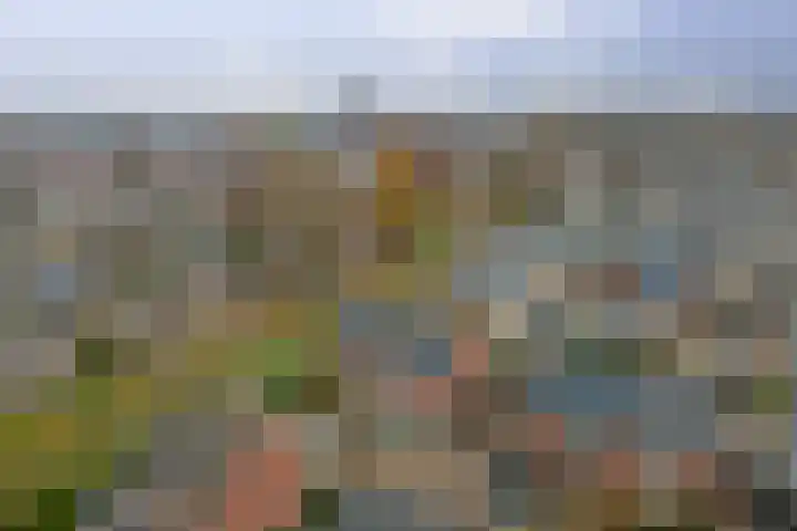 Stegemanshof 10 Baarlo thumbnail 36