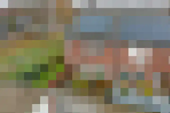 Stegemanshof 10 Baarlo thumbnail 37