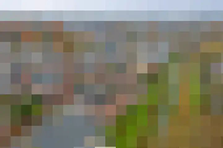 Stegemanshof 10 Baarlo thumbnail 40