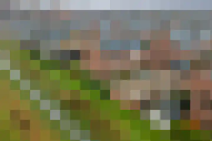 Stegemanshof 10 Baarlo thumbnail 5