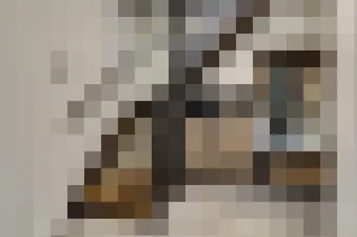 Stegemanshof 10 Baarlo thumbnail 8