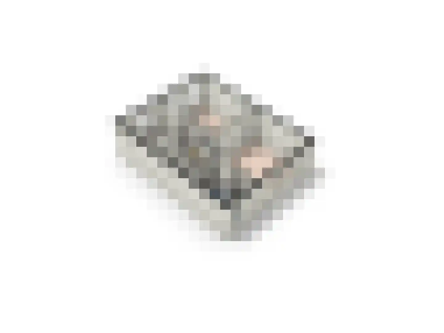 Stegemanshof 5 Baarlo thumbnail 27