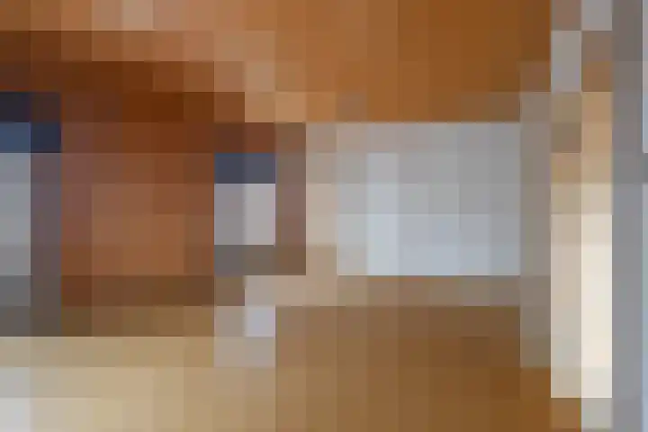 Stegen 8 Beek thumbnail 16