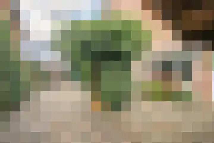 Stegen 8 Beek thumbnail 28