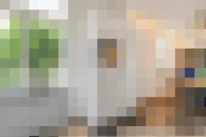 Stegerensallee 14 Dedemsvaart thumbnail 10