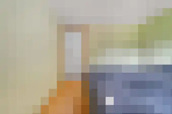 Stegerensallee 14 Dedemsvaart thumbnail 13