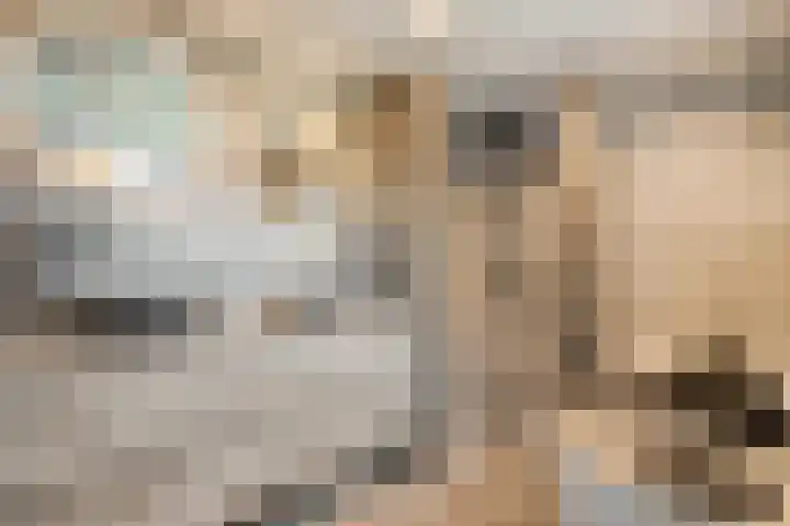 Stegerensallee 14 Dedemsvaart thumbnail 14