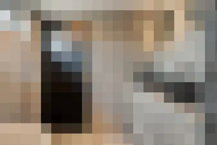 Stegerensallee 14 Dedemsvaart thumbnail 15