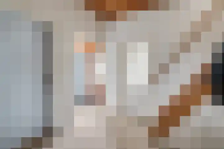 Stegerensallee 14 Dedemsvaart thumbnail 16