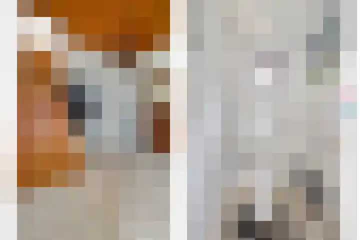 Stegerensallee 14 Dedemsvaart thumbnail 17