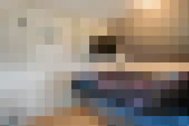 Stegerensallee 14 Dedemsvaart thumbnail 19