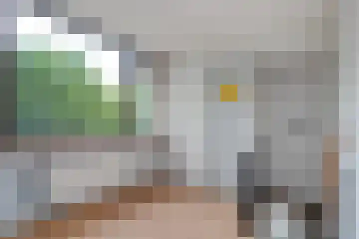 Stegerensallee 14 Dedemsvaart thumbnail 23