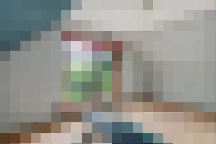 Stegerensallee 14 Dedemsvaart thumbnail 25