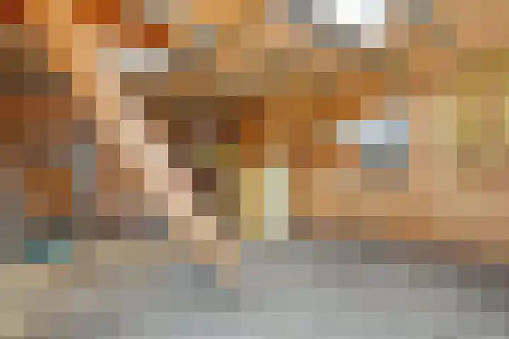 Stegerensallee 14 Dedemsvaart thumbnail 27