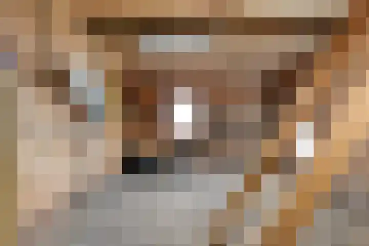 Stegerensallee 14 Dedemsvaart thumbnail 28