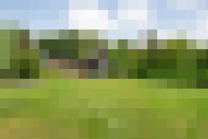 Stegerensallee 14 Dedemsvaart thumbnail 30