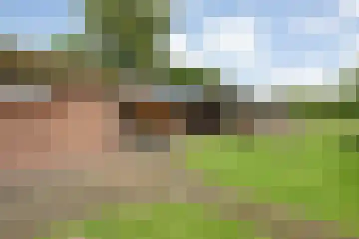 Stegerensallee 14 Dedemsvaart thumbnail 31